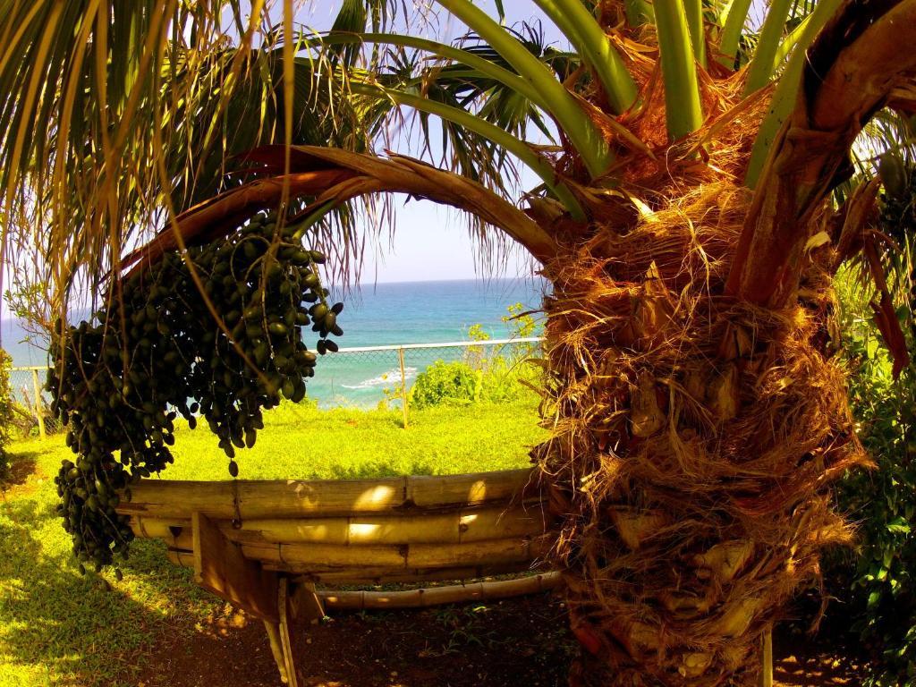 Hotel Jamaican Colors Pleasant Hill Dış mekan fotoğraf